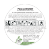 Pole lawendy // Świeczka