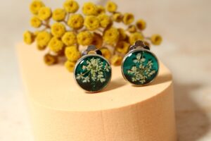 Marchew na zielonym II // Klipsy