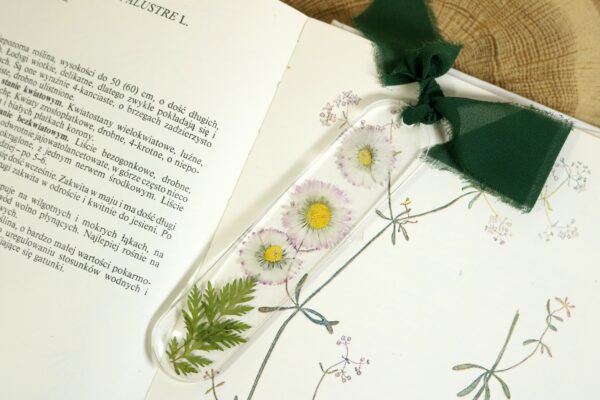 Stokrotki III // Zakładka do książki
