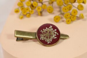 Marchew w bordo II // Spinka