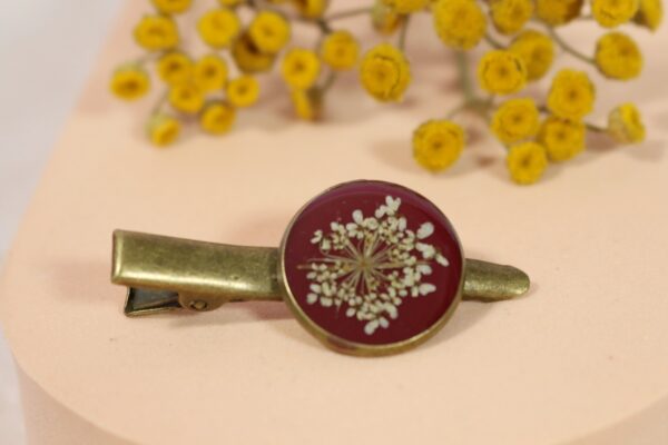 Marchew w bordo II // Spinka